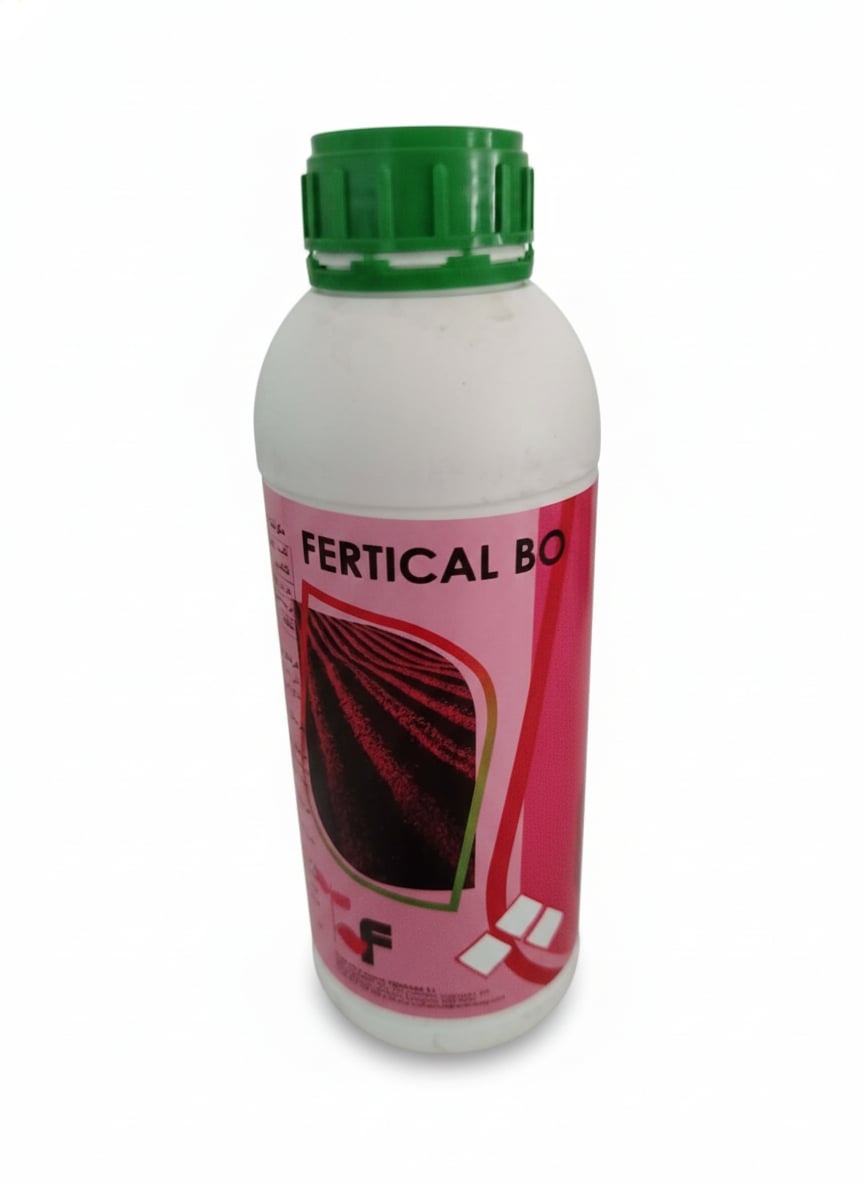 Fertical BO